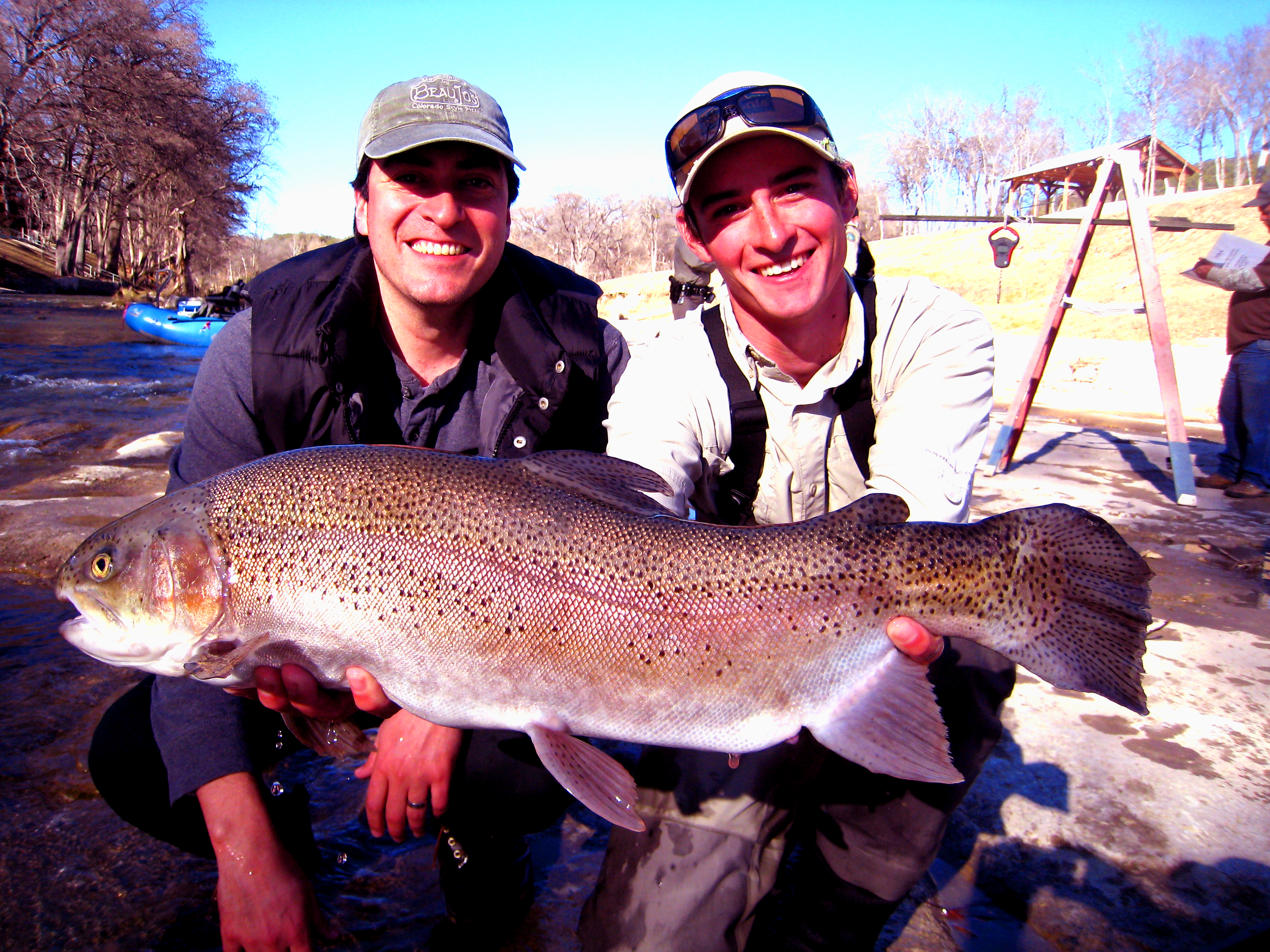 Possible New State Record Guadalupe Trout