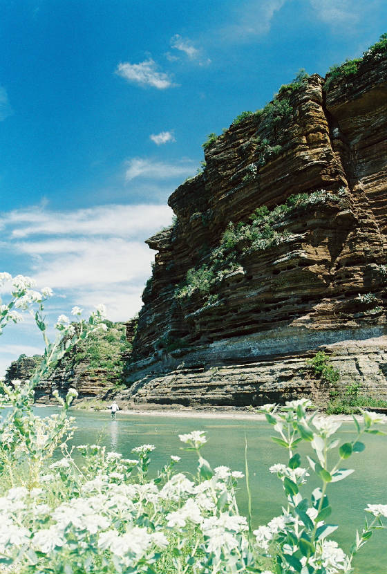 Fly Fishing Texas Hill Country